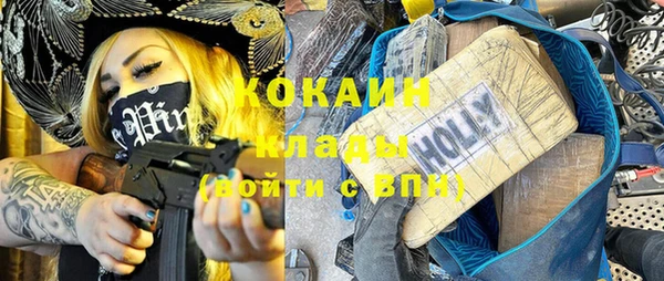 мдпв Тавда