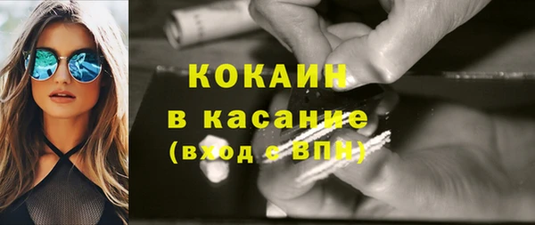 мдпв Богородицк