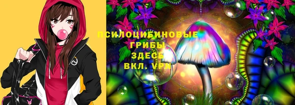 мдпв Богородицк