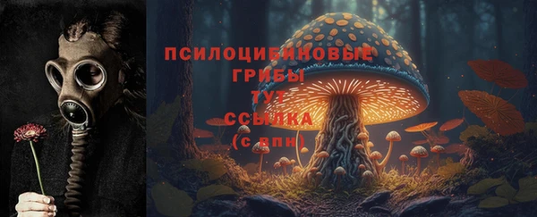 мдпв Богородицк